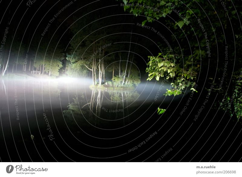 erscheinung Natur Landschaft Wasser Baum Birke Wald Seeufer Insel Teich Stimmung Reflexion & Spiegelung Langzeitbelichtung Fernlicht Nachtfahrt gruselig