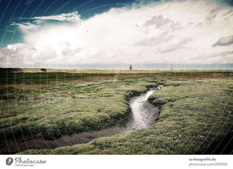 Das Ende der Reise Umwelt Natur Landschaft Pflanze Urelemente Wasser Himmel Wolken Gewitterwolken Wetter Schönes Wetter Wind Moos Grünpflanze Wiese Küste