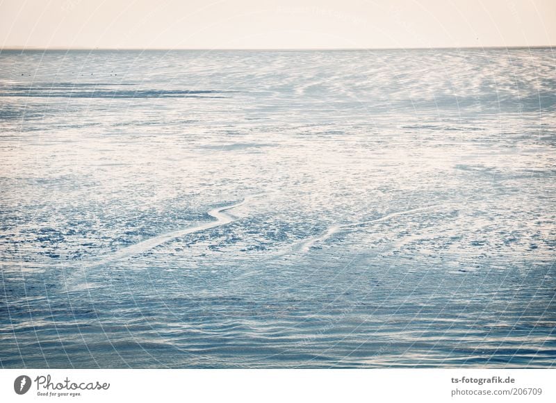 Gezeiten-Spielplatz Sommer Strand Meer Wellen Umwelt Natur Landschaft Urelemente Erde Wasser Himmel Horizont Küste Nordsee Wattenmeer Nordseeküste Priel Sand