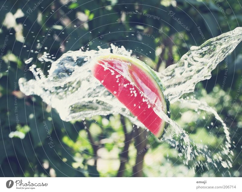 Wassermelone II Frucht Ernährung Vegetarische Ernährung frisch grün spritzen Farbfoto Außenaufnahme Tag Schwache Tiefenschärfe Vegane Ernährung aufgeschnitten