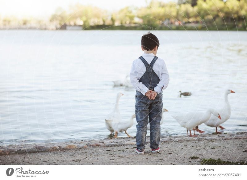 Durchdachtes Kind auf dem See. Rückansicht Lifestyle Ferien & Urlaub & Reisen Freiheit Mensch maskulin Kleinkind Junge Kindheit 1 3-8 Jahre Frühling Sommer