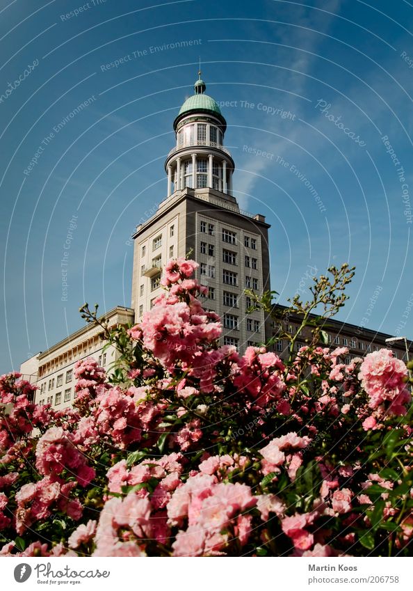 Berlin Frankfurter Tor Hauptstadt Turm Bauwerk Architektur Friedrichshain Karl-Marx-Allee Klassizismus schön Sommer Blühend Rose Warschauer Straße Farbfoto