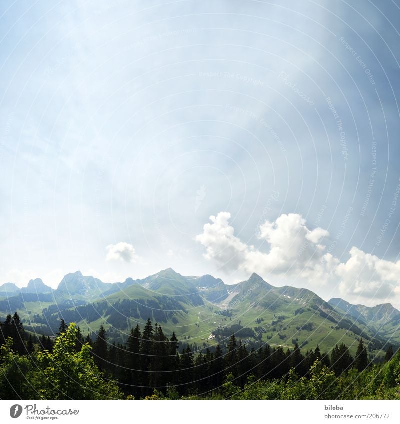 Gantrisch harmonisch Zufriedenheit Erholung ruhig Ausflug Sommer Berge u. Gebirge Wald Hügel Felsen Gipfel blau grün weiß Lebensfreude Sehnsucht Heimweh Fernweh