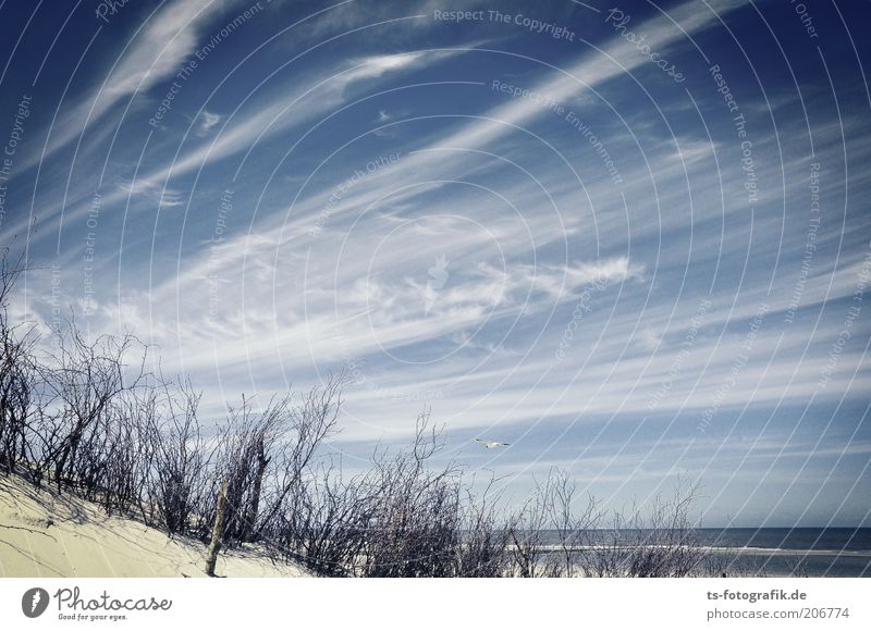 Kreative Pinselführung Ferien & Urlaub & Reisen Ferne Sommerurlaub Strand Meer Umwelt Natur Landschaft Himmel Wolken Horizont Klima Wetter Schönes Wetter Wind