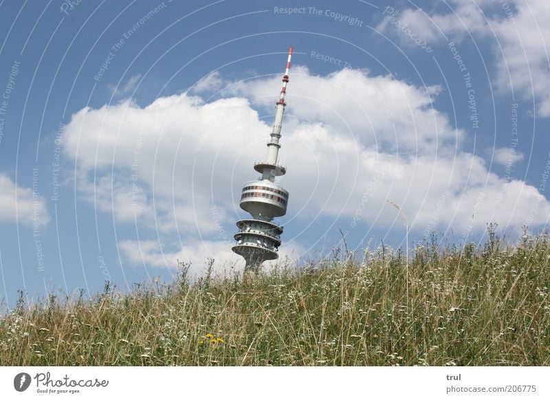 Hoch oben... Sommer Natur Landschaft Himmel Wolken Sonnenlicht Gras Sträucher Wiese Hügel Architektur Sehenswürdigkeit Olympiaturm ästhetisch elegant hoch