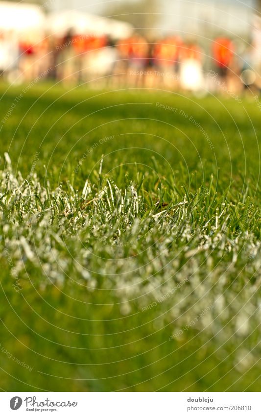 fussballplatzrasen Sport Rasen Sportrasen Linie Kreide weiß Schilder & Markierungen Spielfeld Spielfeldbegrenzung Fußballplatz Nahaufnahme Bodenmarkierung