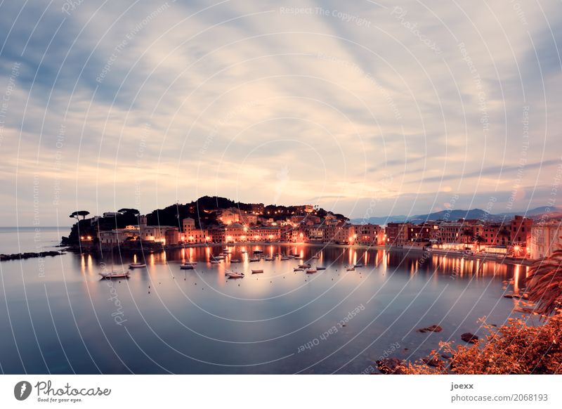 Sestri Levante Ferien & Urlaub & Reisen Himmel Wolken Horizont Schönes Wetter Küste Italien Haus schön blau braun schwarz Idylle Farbfoto Außenaufnahme Abend