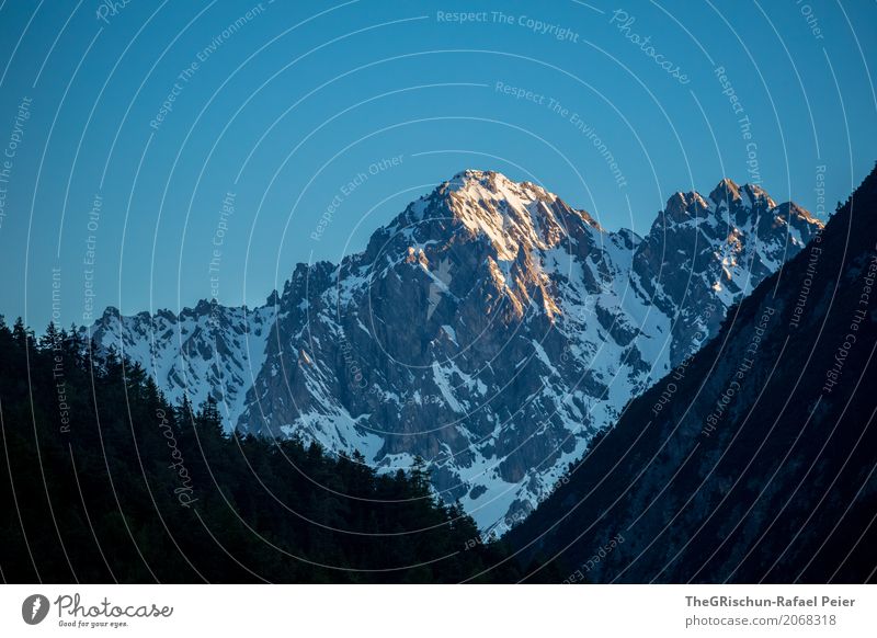 Abendsonne Umwelt Natur Landschaft Urelemente Luft blau schwarz weiß Gipfel Berge u. Gebirge Schnee Wald Felsen Himmel Sonnenlicht Sonnenstrahlen Schweiz Alpen