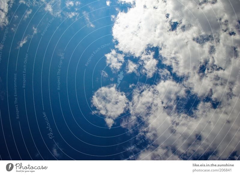 blau-weißer himmel über bayern Sommer Sonne Natur Himmel nur Himmel Wolken Klima Klimawandel Wetter Schönes Wetter Wärme Leichtigkeit Wolkenband Wolkenfetzen