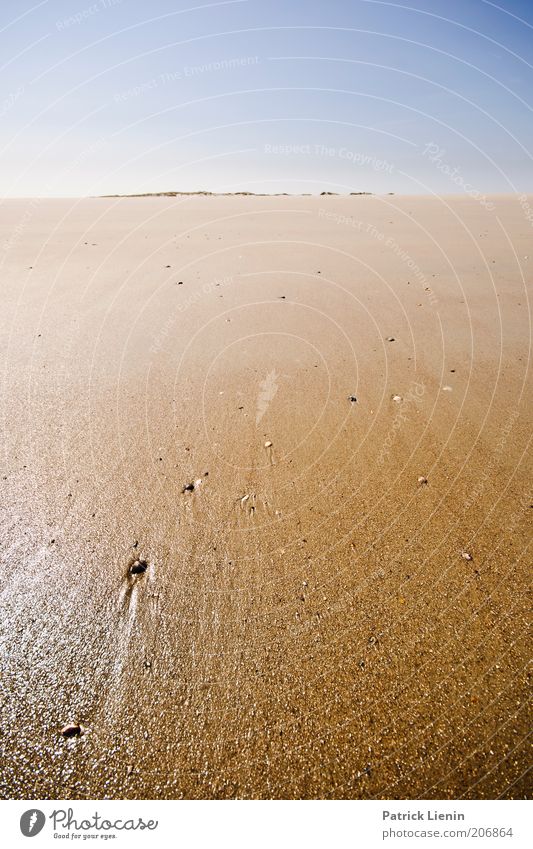 Neverland Umwelt Natur Landschaft Urelemente Erde Sand Luft Wasser Himmel Wolkenloser Himmel Sonne Sommer Klima Klimawandel Wetter Schönes Wetter Wärme Küste