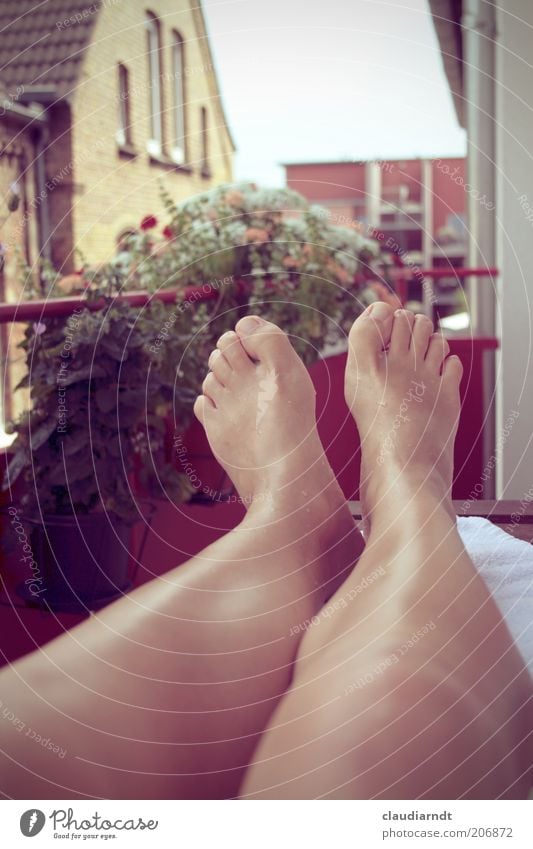 Sommer vorm Balkon Erholung Sommerurlaub Balkonpflanze Mensch Beine Fuß 1 hochlegen Zehen Wärme Knie Pause Retro-Farben Rotstich Kühlung Erfrischung kühlen