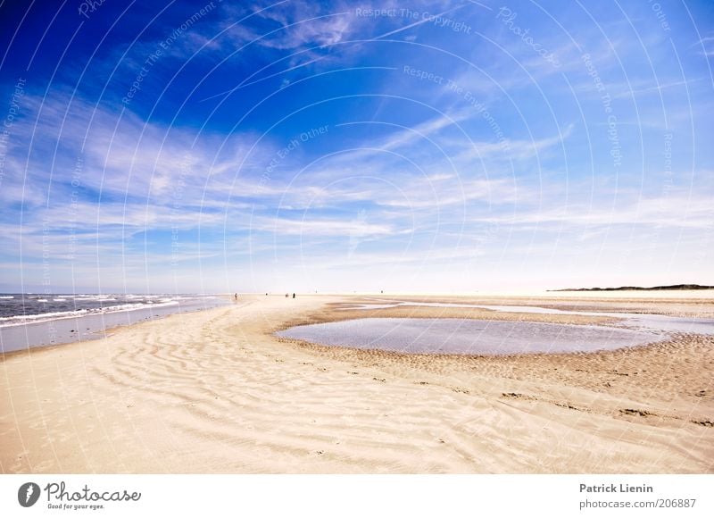 Strandspaziergang Ferien & Urlaub & Reisen Tourismus Ausflug Ferne Freiheit Sommer Sommerurlaub Meer Insel Umwelt Natur Urelemente Sand Klimawandel