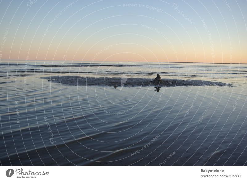 gestrandet harmonisch Zufriedenheit Ferien & Urlaub & Reisen Ferne Freiheit Sommer Strand Meer Natur Wasser Küste Ostsee schön Stimmung Abenddämmerung Estland