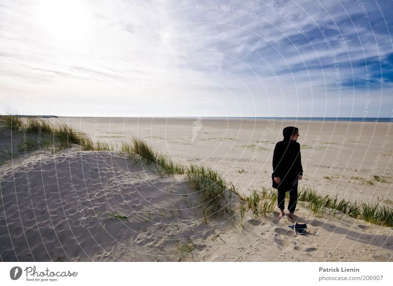 abschalten Umwelt Natur Landschaft Pflanze Urelemente Sand Luft Wasser Sommer Klima Wetter Schönes Wetter Wind Küste Strand Nordsee Meer Insel genießen