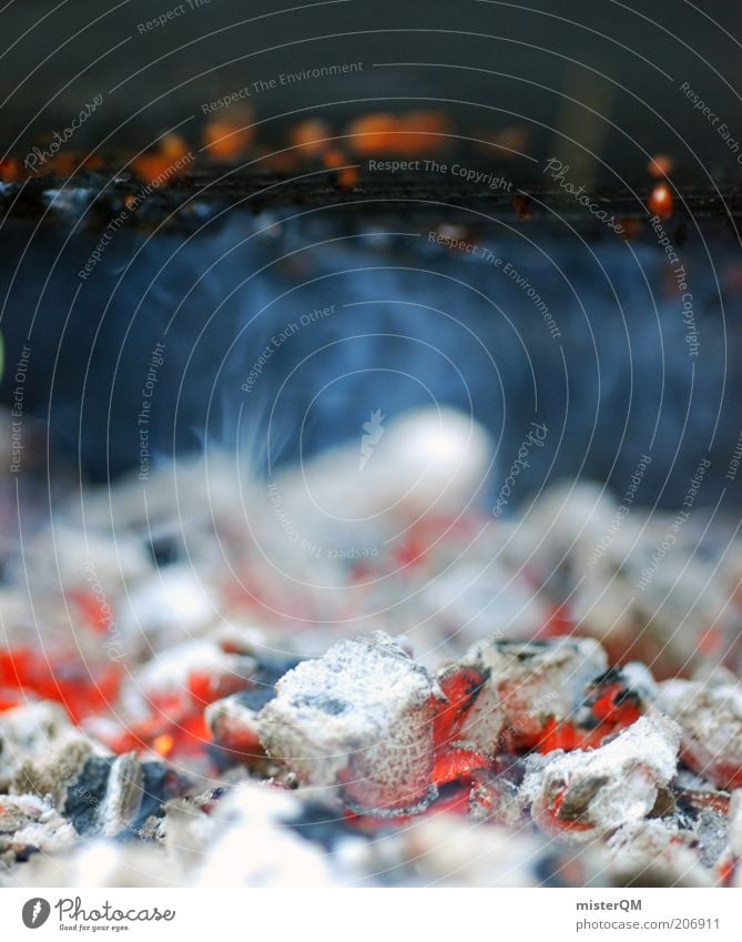 Rostern. Freizeit & Hobby Grillen Glut Grillrost Grillkohle Grillsaison Feuer Flamme weiß Zischen Rauch ungesund heiß Wärme Farbfoto Außenaufnahme Nahaufnahme