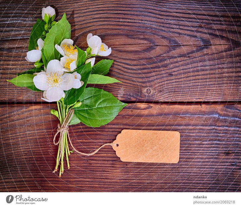 Bouquet von blühenden weißen Jasmin Natur Pflanze Blume Blatt Blüte Blumenstrauß Holz frisch hell natürlich oben gelb grün Farbe Überstrahlung Blütenknospen