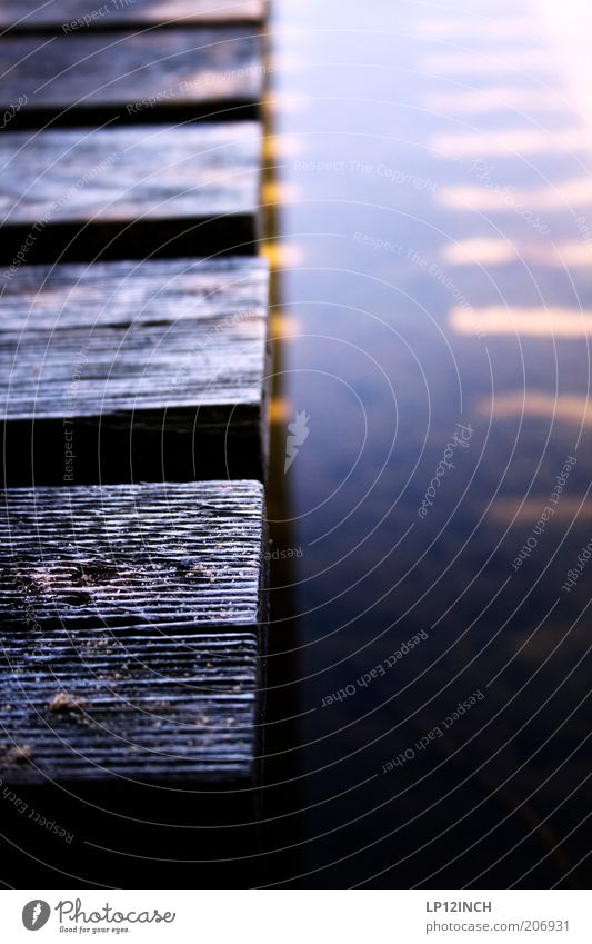 LP "100" INCH Umwelt Wasser Holz träumen Steg Holzbrett Schatten Anlegestelle Wasseroberfläche Farbfoto Außenaufnahme Detailaufnahme Tag Unschärfe