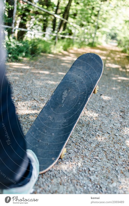 AST 10 | Skateboard Leben harmonisch ruhig Freizeit & Hobby Spielen Skateboarding Ausflug Abenteuer Freiheit Umwelt Sonnenlicht Sommer Schönes Wetter Pflanze