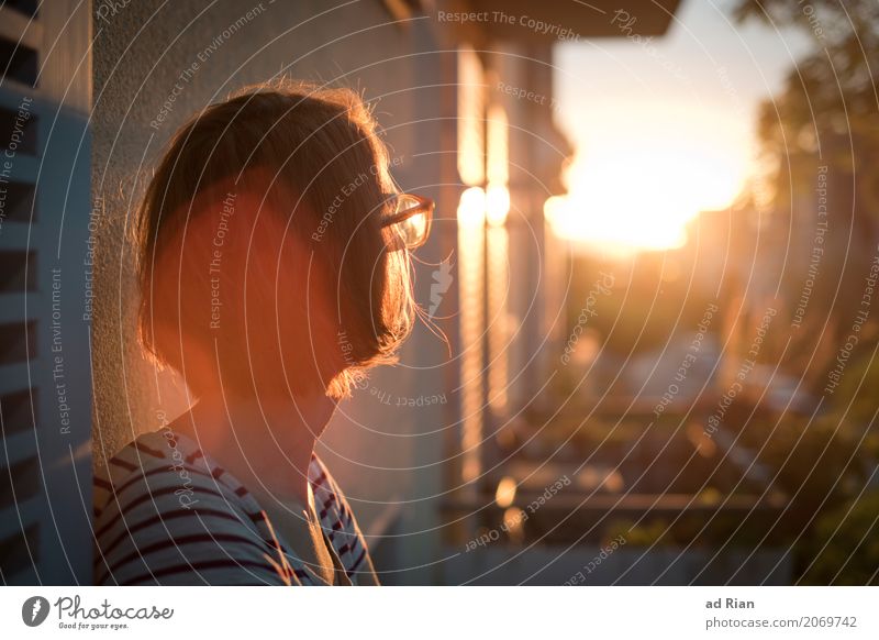 Sonnendeck I Mensch feminin Frau Erwachsene Kopf Haare & Frisuren 1 30-45 Jahre Umwelt Himmel Horizont Sonnenaufgang Sonnenuntergang Sonnenlicht Sommer Stadt