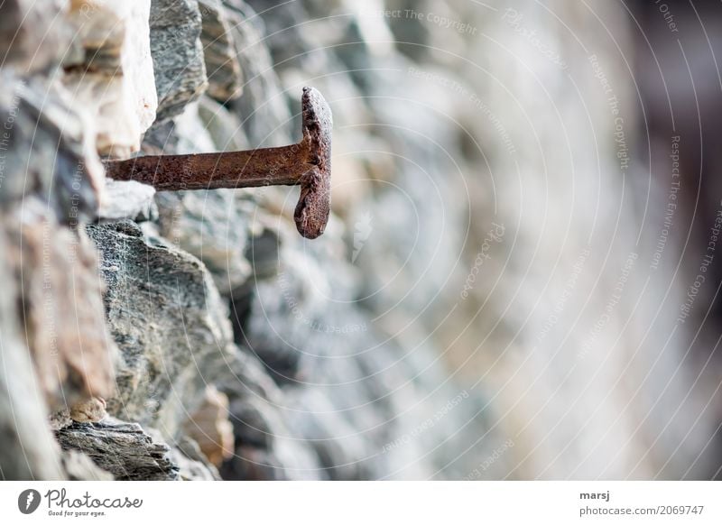 Auch ein T ist mal schräg drauf... Mauer Wand Steinmauer Nagel Metall Rost alt eckig historisch trist grau standhaft Einsamkeit bizarr geheimnisvoll