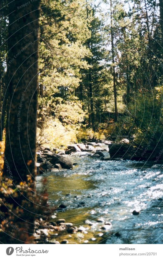 Wasser und Licht Herbst Bach Sawtooth Mountains