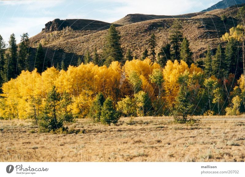 Indian Summer 1 Herbstlaub Abenddämmerung Berge u. Gebirge Sawtooth Mountains