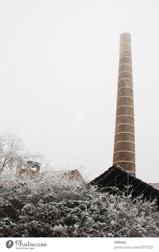 Kalter Kamin Baum Sträucher Industrieanlage Fabrik Schornstein Stein kalt braun Frost Verfall Himmel grau Winter Raureif Schnee Farbfoto Gedeckte Farben