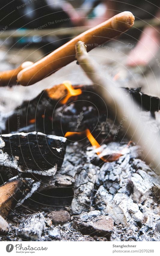 Knackiger Wiener Lebensmittel Fleisch Wurstwaren Ernährung Abendessen Fingerfood Freizeit & Hobby Grillen Feste & Feiern Natur Baum Holz Essen Völlerei gefräßig