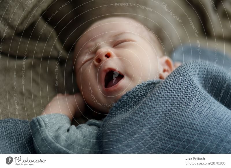 müde maskulin Baby 1 Mensch 0-12 Monate schlafen natürlich Sicherheit Geborgenheit rein träumen gähnen geschlossene Augen