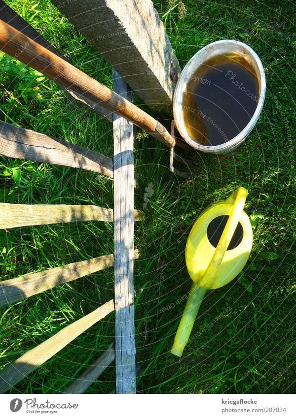 Es grünt so grün... Pflanze Wasser Sommer Schönes Wetter Gras Arbeit & Erwerbstätigkeit Gartenarbeit Gießkanne gelb Eimer Gabelspaten Zaun Gartenwerkzeug Holz