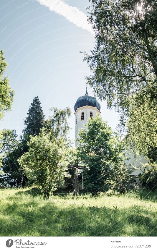 Kirchturm im Grünen Wohlgefühl Erholung ruhig Freizeit & Hobby Tourismus Ausflug Sightseeing Sommer Natur Himmel Schönes Wetter Wärme Pflanze Baum Gras