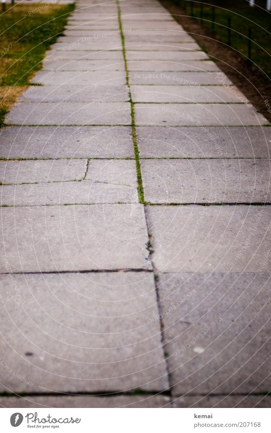 Platte(r) Weg Moos Menschenleer Straße Wege & Pfade Bürgersteig einfach Ordnung kaputt trist Farbfoto Gedeckte Farben Außenaufnahme Textfreiraum unten