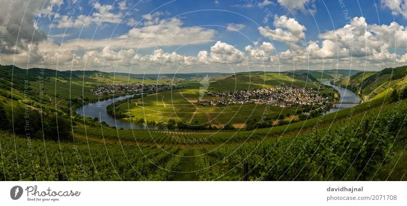 Moselschleife Ferien & Urlaub & Reisen Tourismus Ausflug Sightseeing wandern Natur Landschaft Wasser Himmel Schönes Wetter Hügel Flussufer Weinberg Leiwen