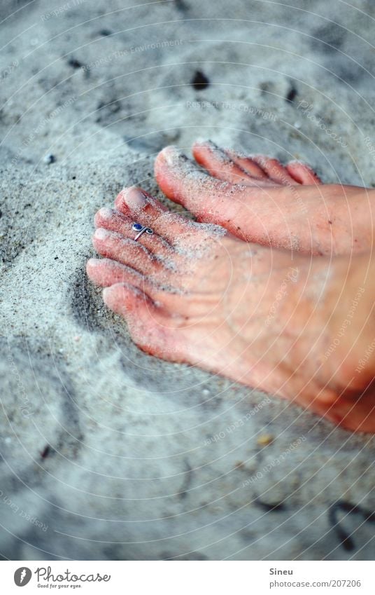 Füsse im Sand Fuß Sandfloh berühren Erholung sitzen Zufriedenheit Strand Sandstrand Ring Frauenfuß Bräune Farbfoto Außenaufnahme Textfreiraum oben