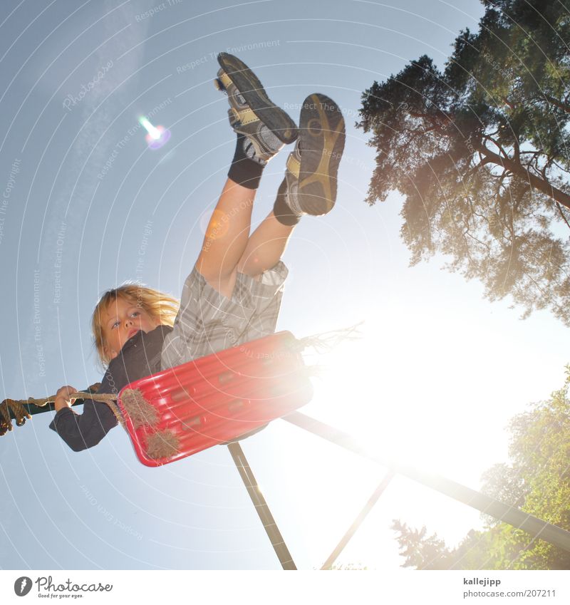 highlander Freizeit & Hobby Spielen Garten Kind Junge 1 Mensch 3-8 Jahre Kindheit Schaukel schaukeln Spielplatz Spieltrieb Kiefer schwungvoll Aufschwung