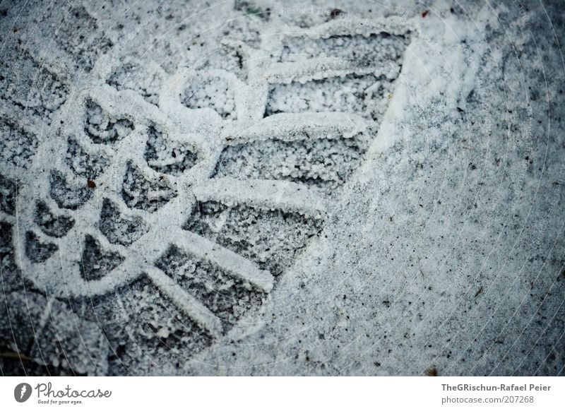 "Ökologischer" Fussabdruck Umwelt Sand Vergangenheit Vergänglichkeit Farbfoto Detailaufnahme Abend Fußspur Abdruck Spuren vererben Symbole & Metaphern