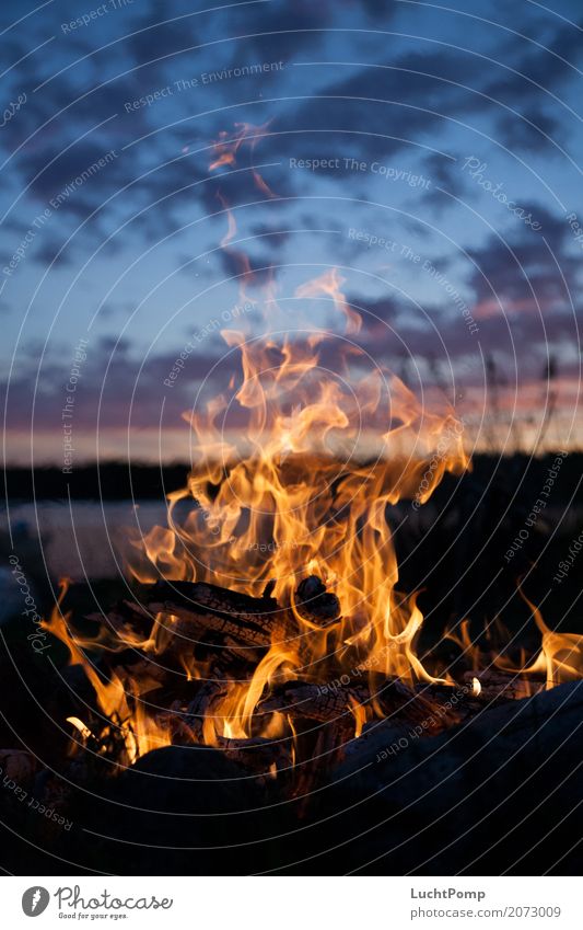 Long Nights II harmonisch Feuer Lagerfeuerstimmung Feuerstelle orange Menschenleer Holz brennen Flamme Wärme Glut Kohle gelb Kurzzeitbelichtung