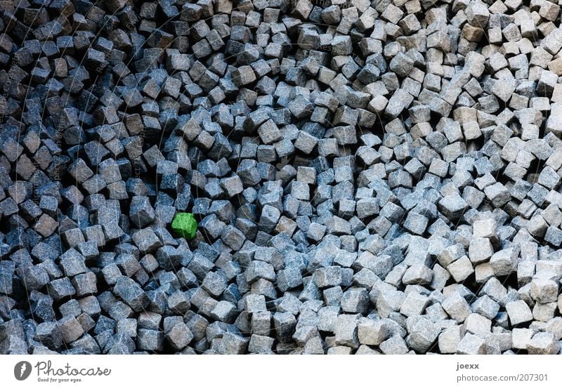 Glashaus Baustelle Stein grau grün Pflastersteine Kopfsteine Farbfoto mehrfarbig Tag Weitwinkel viele Anhäufung Strukturen & Formen Symbole & Metaphern