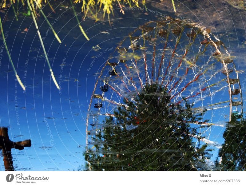 Ufer Feste & Feiern Jahrmarkt Natur Wasser Park Seeufer Teich glänzend Riesenrad Pfütze Spiegelbild Farbfoto mehrfarbig Außenaufnahme Menschenleer