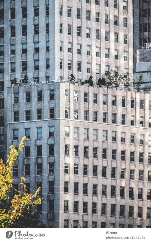 Wohngemeinschaft? | Anonymität Reichtum Häusliches Leben Stadt Hochhaus Bauwerk Fassade Dachgarten bedrohlich Zusammensein gigantisch groß hässlich hoch grau