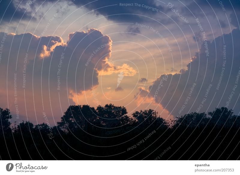 Sonnenaufgang Sightseeing Natur Landschaft Himmel Wolken Gewitterwolken Horizont Sonnenuntergang Sonnenlicht Klima Wetter Unwetter Baum ästhetisch schön