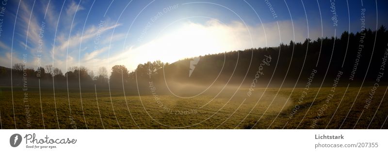 träume doch harmonisch Wohlgefühl ruhig Duft Ausflug Freiheit Expedition Sonne Landschaft Pflanze Erde Luft Himmel Wolken Sonnenlicht Baum Gras Feld Farbfoto