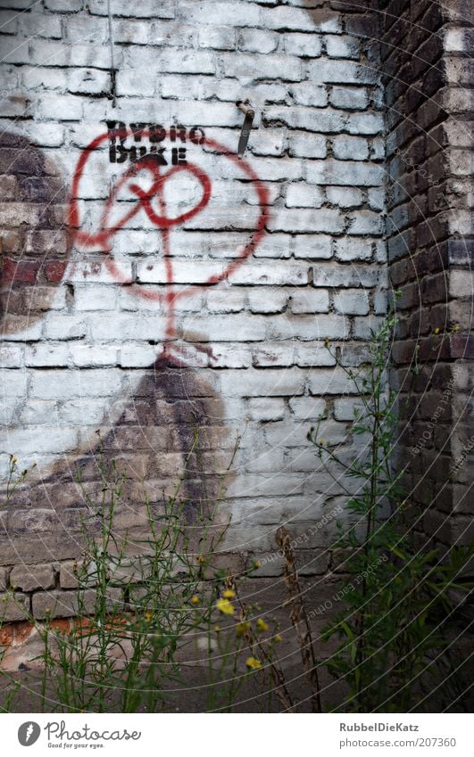 Schmuddelecke Sommer Mauer Wand Fassade Stein Beton Backstein Zeichen Schriftzeichen Graffiti alt authentisch dreckig dunkel braun grau rot weiß bizarr Farbfoto