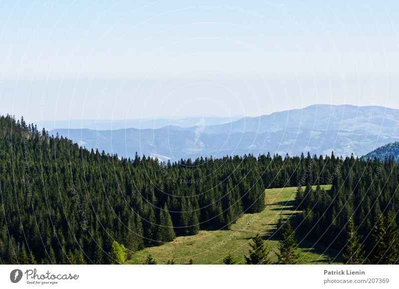 über Berg und Tal Umwelt Natur Landschaft Luft Himmel Wolkenloser Himmel Sommer Klima Wetter Schönes Wetter Baum Wiese Wald Hügel Berge u. Gebirge Stimmung