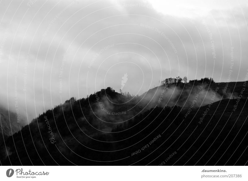 hope of glory Umwelt Natur Landschaft Himmel Wolken Gewitterwolken Unwetter Nebel Dunst ruhig Schwarzweißfoto Außenaufnahme Menschenleer Silhouette