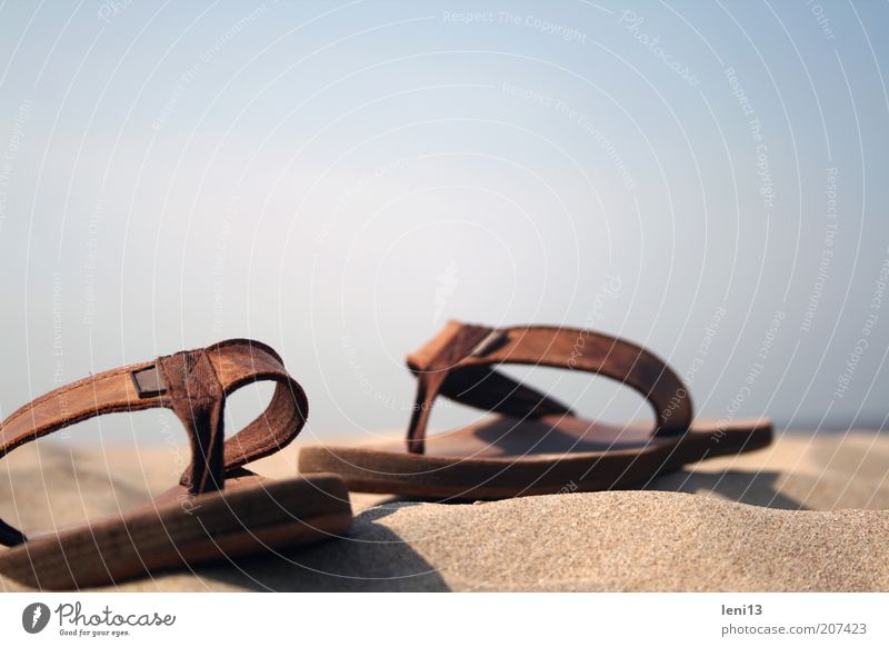 Strandspaziergang Ferien & Urlaub & Reisen Sommer Sommerurlaub Meer Sand liegen Wärme Erholung Farbfoto Gedeckte Farben mehrfarbig Außenaufnahme Nahaufnahme