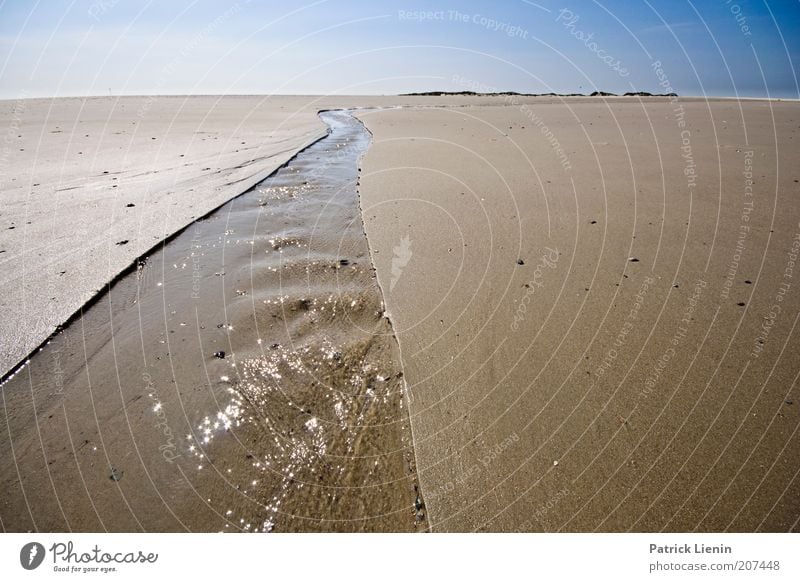 waterway Umwelt Natur Landschaft Urelemente Erde Sand Luft Wasser Himmel Wolkenloser Himmel Horizont Sommer Klima Wetter Schönes Wetter Küste Strand Nordsee