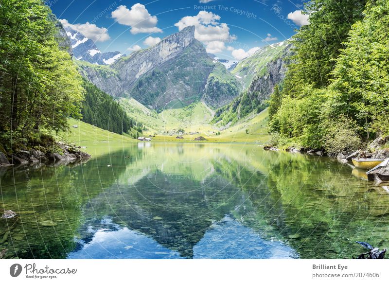 Seealpsee, Appenzeller Alpen Ferien & Urlaub & Reisen Natur Landschaft Wasser Frühling Berge u. Gebirge ästhetisch schön Wärme einzigartig Erholung Idylle rein