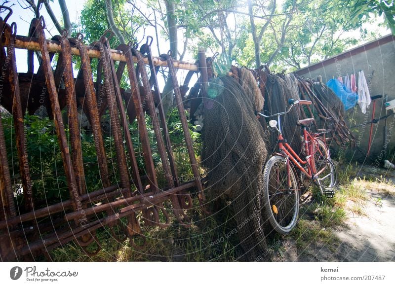 Fisherman's Fahrrad Sonnenlicht Sommer Klima Schönes Wetter Wärme Baum Verkehr Verkehrsmittel Rad Zaun Netz Fischernetz Wäsche leuchten rot angelehnt Hinterhof