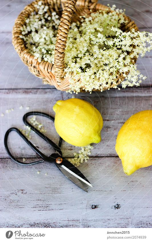 Holunderblütensirupvorbereitung Blüte Holunderbusch weiß Frühling Sommer sammeln Korb Ernte braun grün Innenaufnahme zart schön klein verarbeiten gelb Zitrone